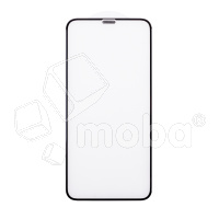 Защитное стекло с сеткой динамика для iPhone X/Xs/11 Pro Черный