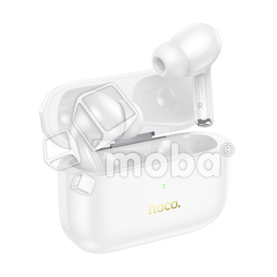 HF-BLT-HCO-EW56-PLS-W_1