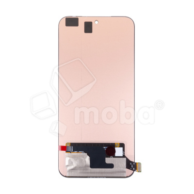 LCD-INX-GT-30-CP-B-OR_1