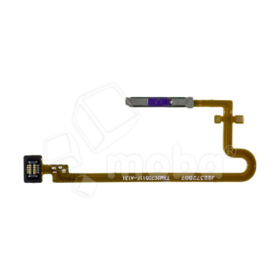 FPC-REAL-C30S-FP-B_1